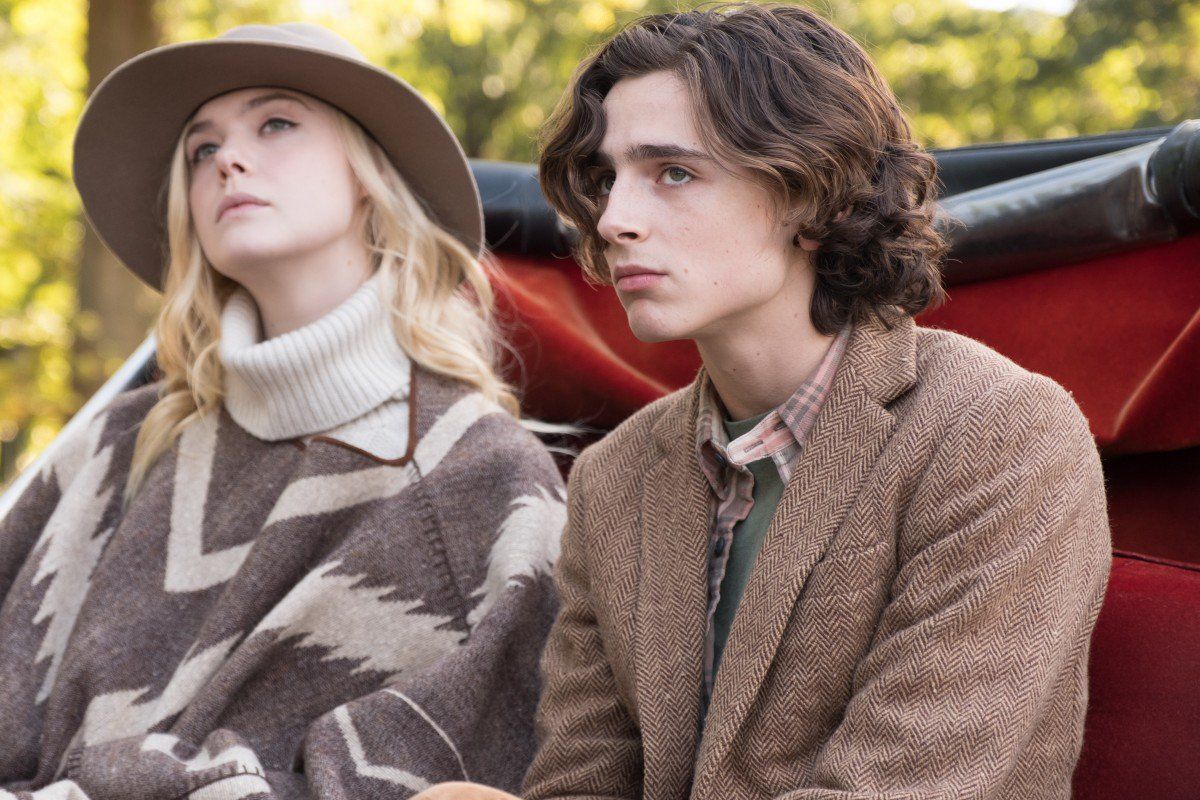 These Are The Best Timothee Chalamet Movies, Ranked