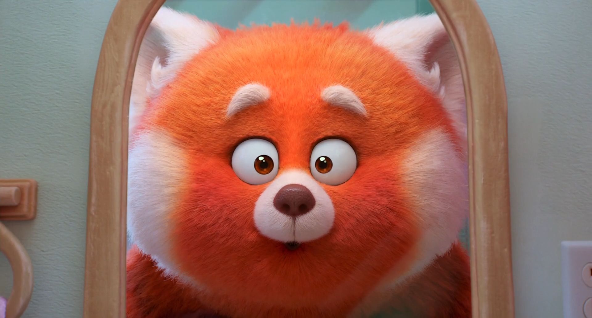 Animated red panda looks in the mirror 