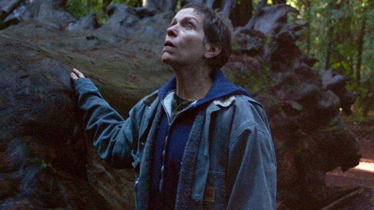 Best Frances McDormand Movies, Ranked