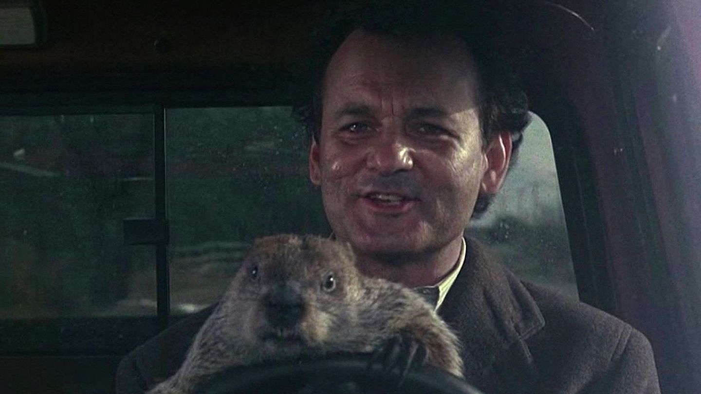 Bill Murray drive the truck with a groundhog