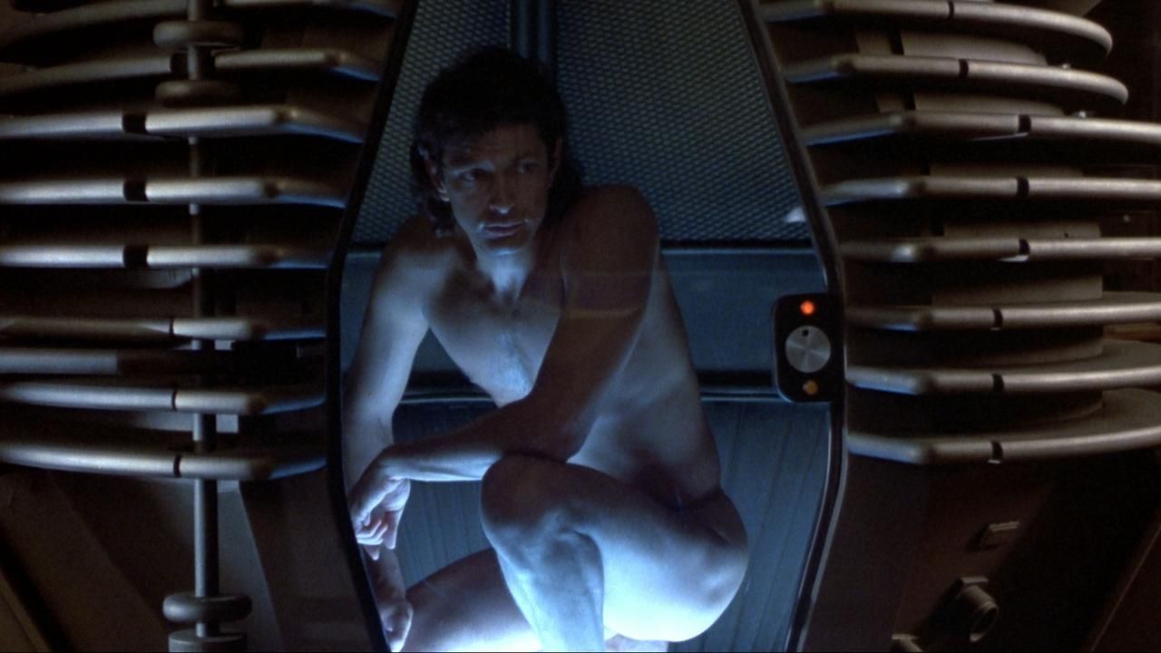 A naked Jeff Goldblum crouches in his chamber in The Fly