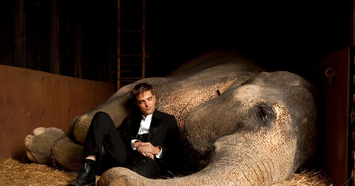 Robert Pattinson sits by an elephant in Water for Elephants.