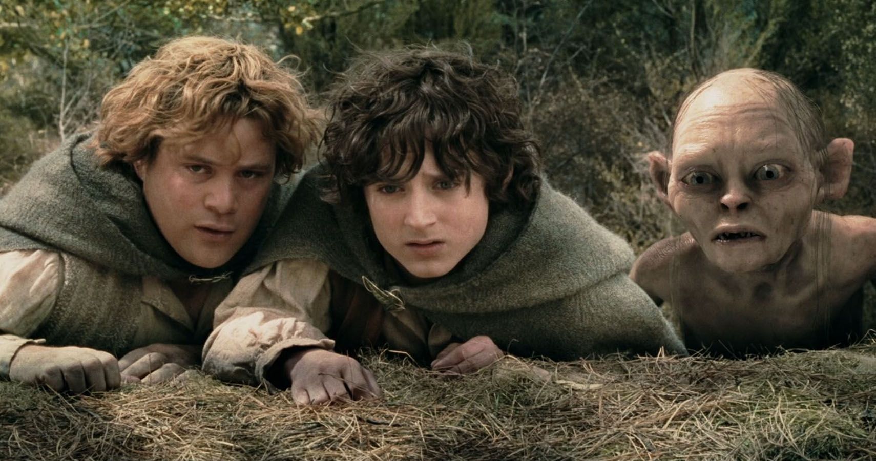 Gollum and the Hobbits