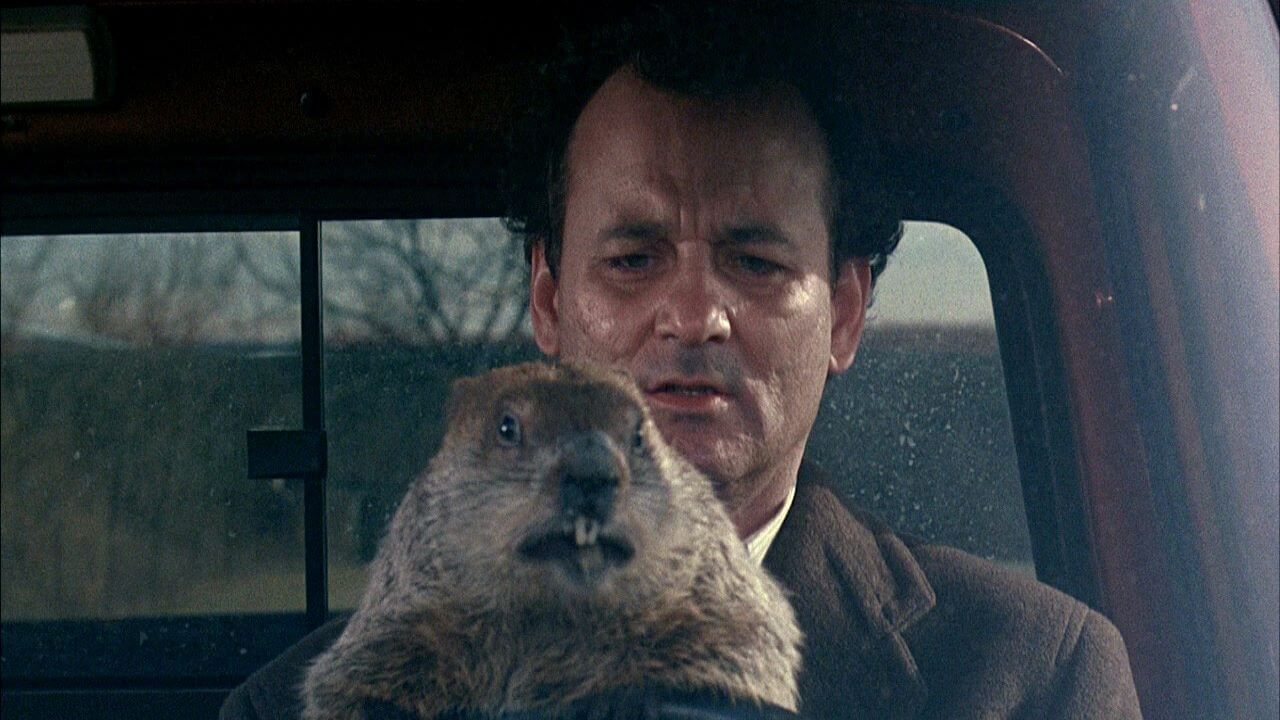 Bill Murray lets the groundhog steer the truck