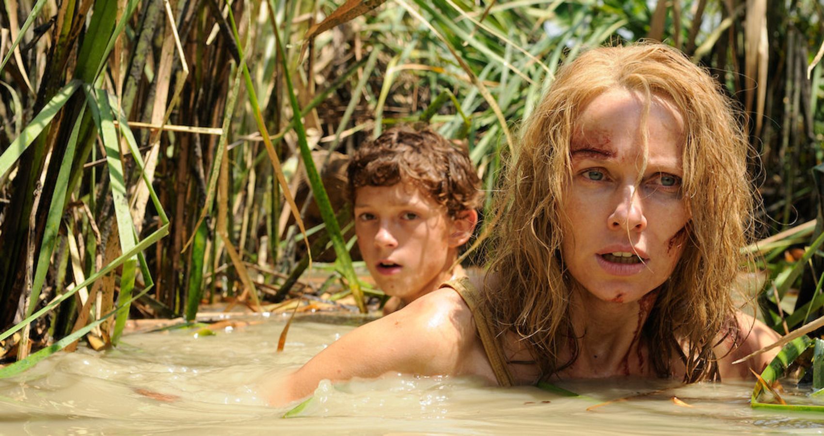 the impossible tom holland and naomi watts 