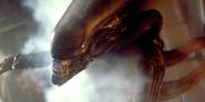 Alien 1979 Xenomorph