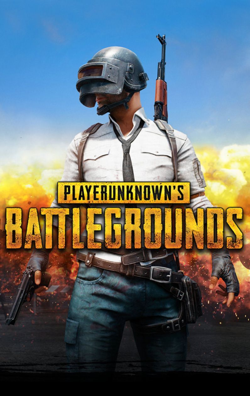 PUBG (PlayerUnknown's Battlegrounds) (2021) | MovieWeb