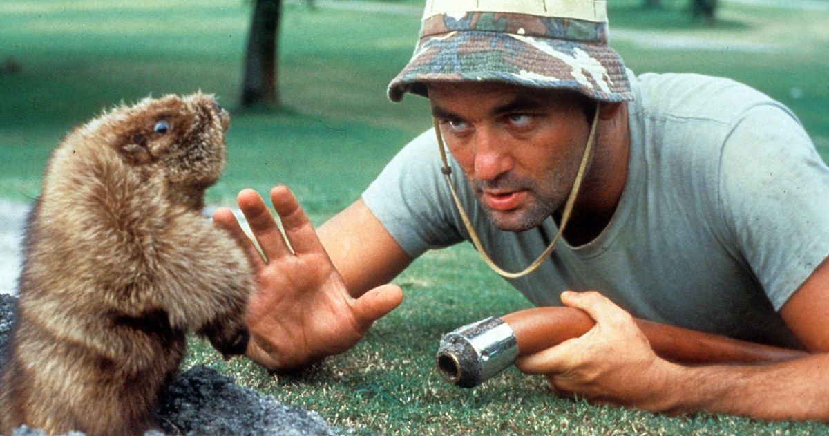 Bill Murray with a gopher on a golf course