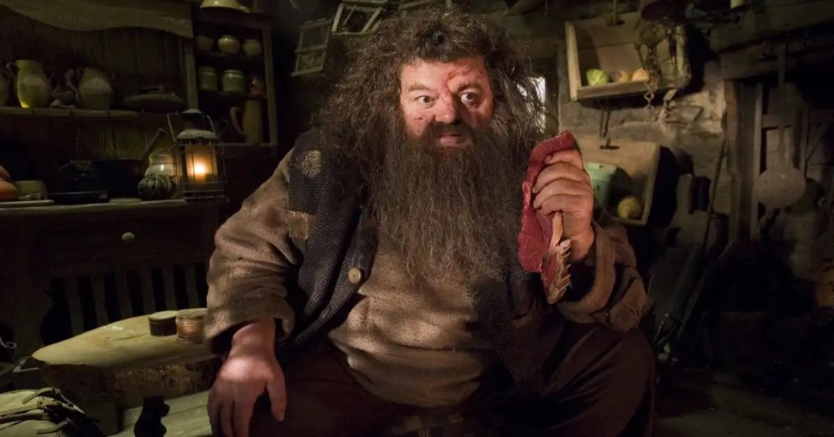 Hagrid in the Harry Potter movies played by Robbie Coltrane