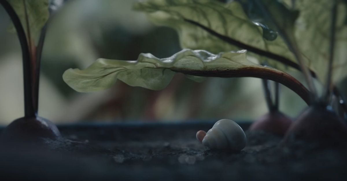 Marcel the Shell with Shoes On by A24