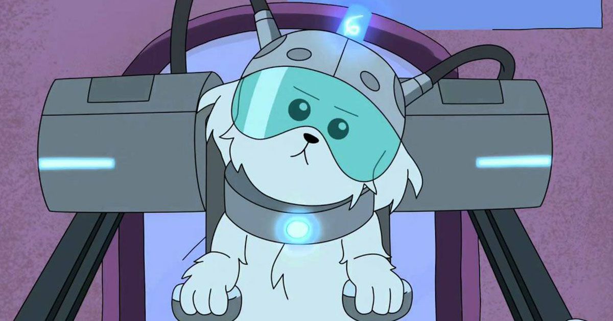 dog Snuffles in the second episode of season one of Rick and Morty