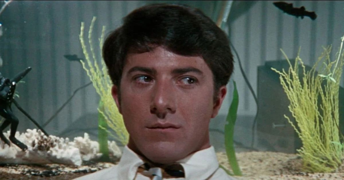 The Graduate