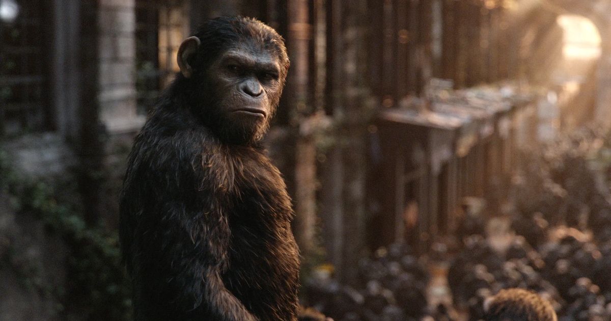 The Best Movies About Killer Apes & Monkeys, Ranked