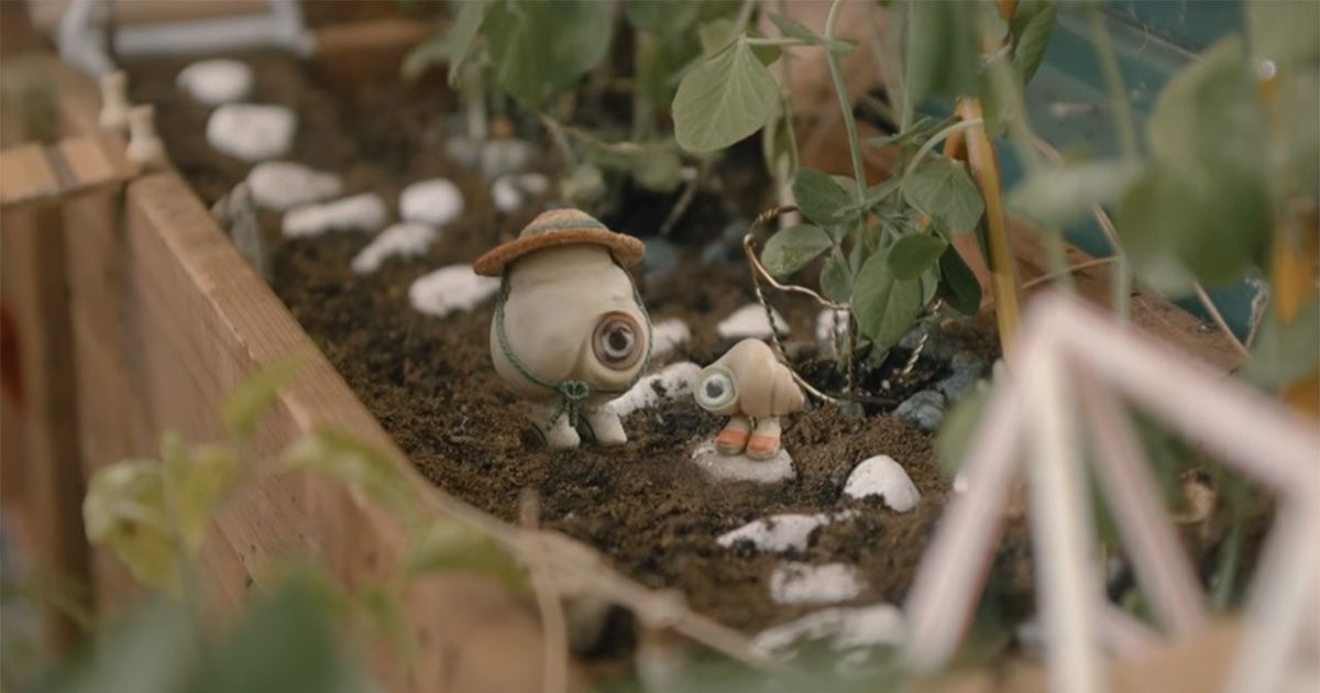 Marcel the Shell with Shoes On Debuts With Perfect 100% Score at Rotten Tomatoes