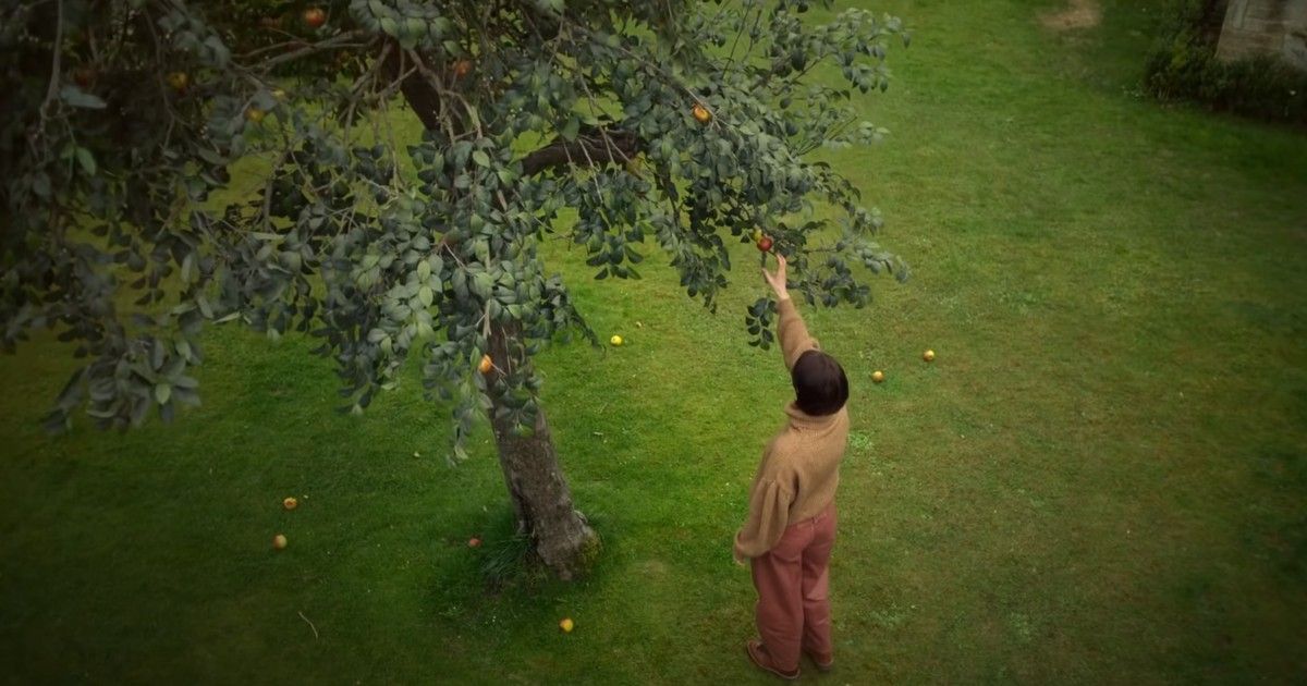 a24 men apple picking