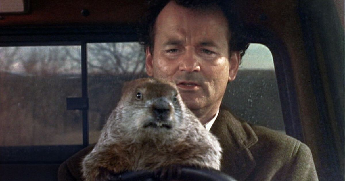 Bill Murray em O Dia da Marmota (1993)