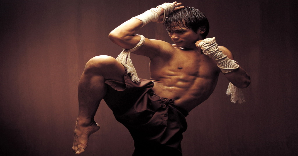 Best Martial Art's Movies of the 2000s, Ranked