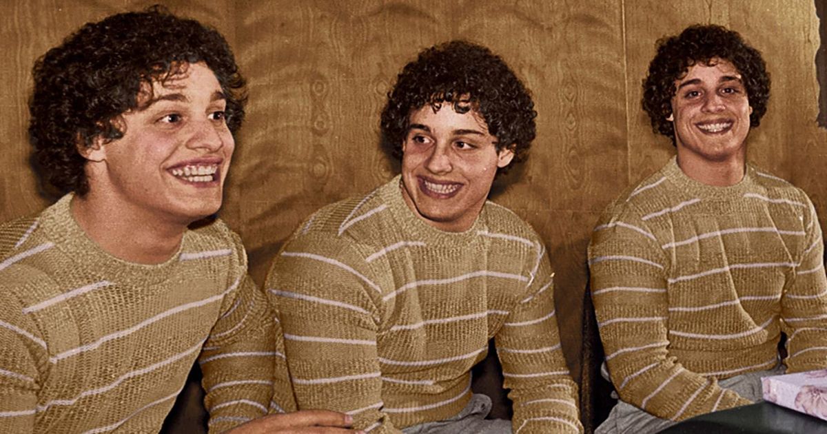 Three Identical Strangers