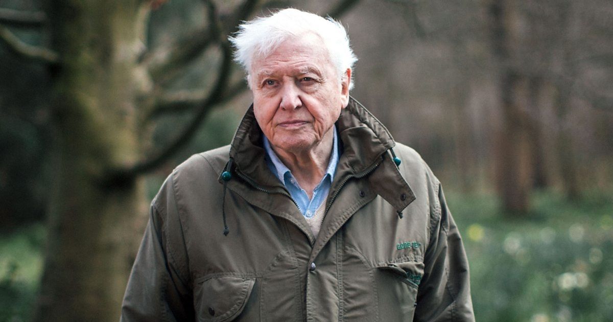 David Attenborough walking in a park.
