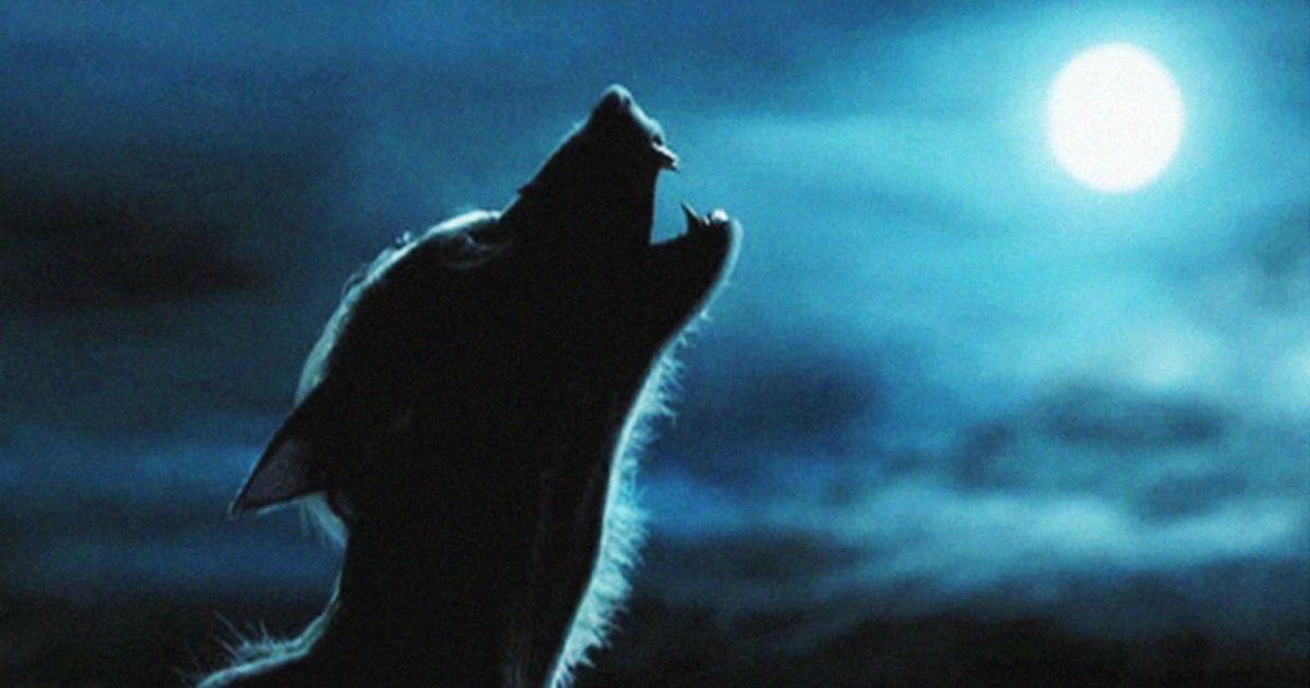 harry-potter-werewolf