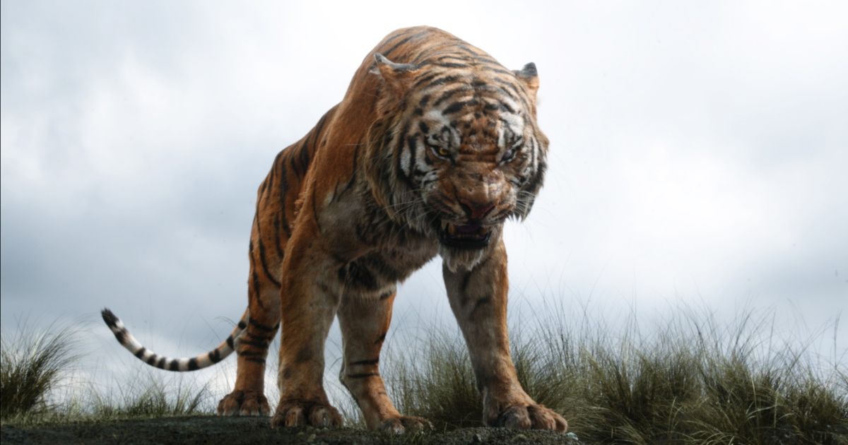 Tiger in the Jungle Book
