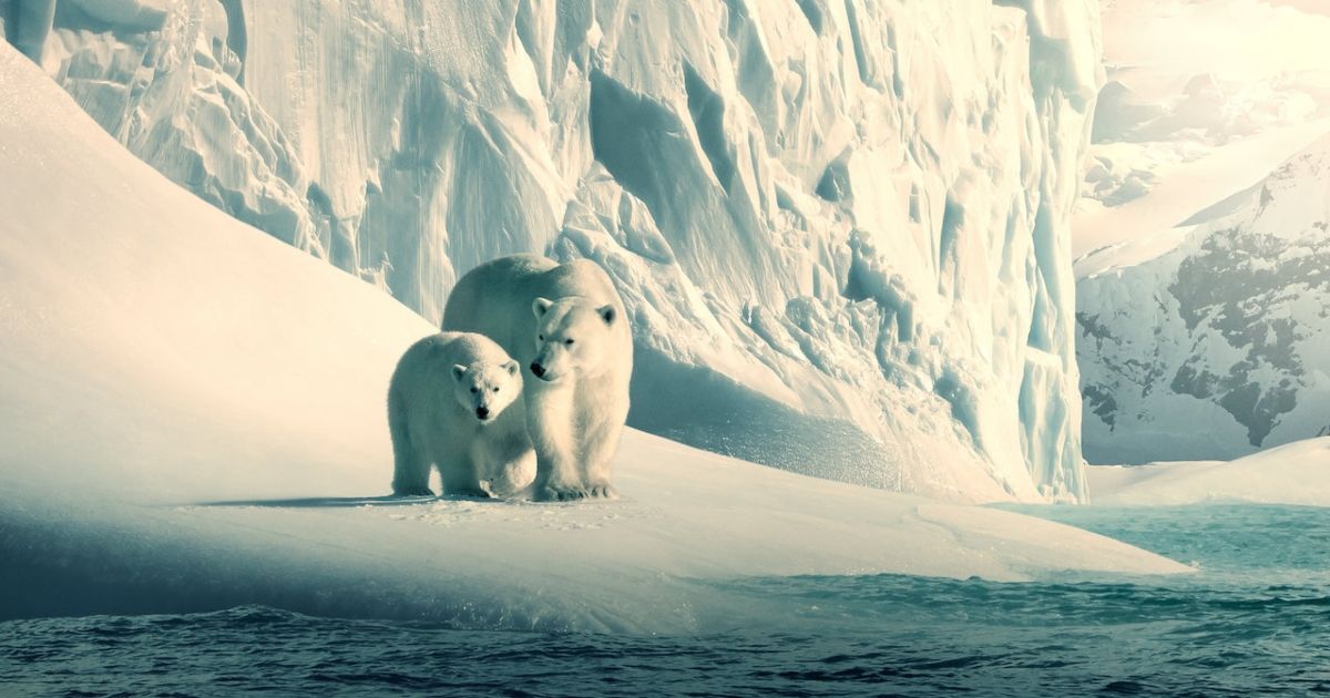 #The Best Documentaries About Climate Change and Where to Watch Them