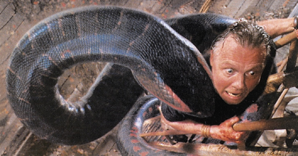 Snake attacks in Anaconda