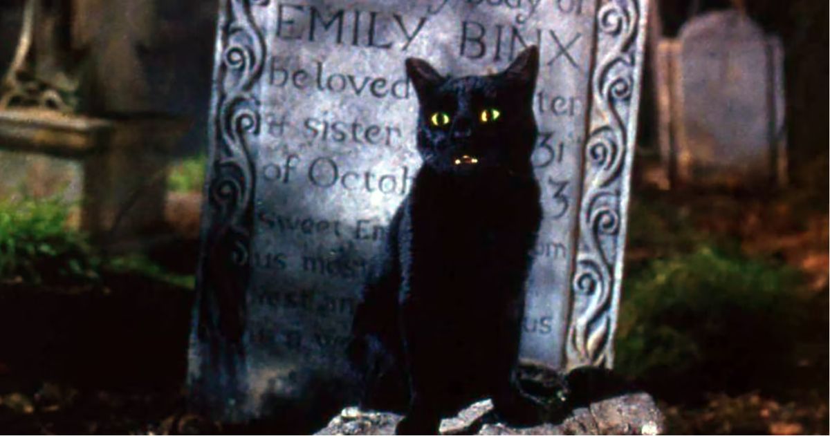 Thackery Binx the cat in Hocus Pocus