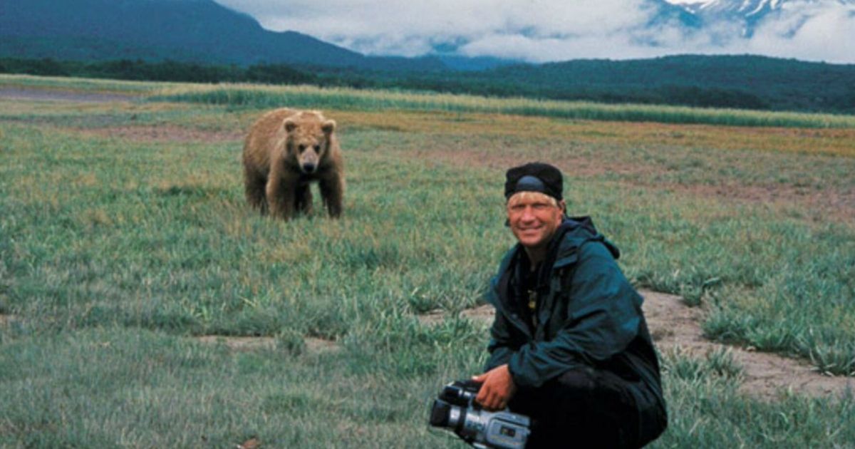 Timothy Treadwell being approached by a grizzly bear