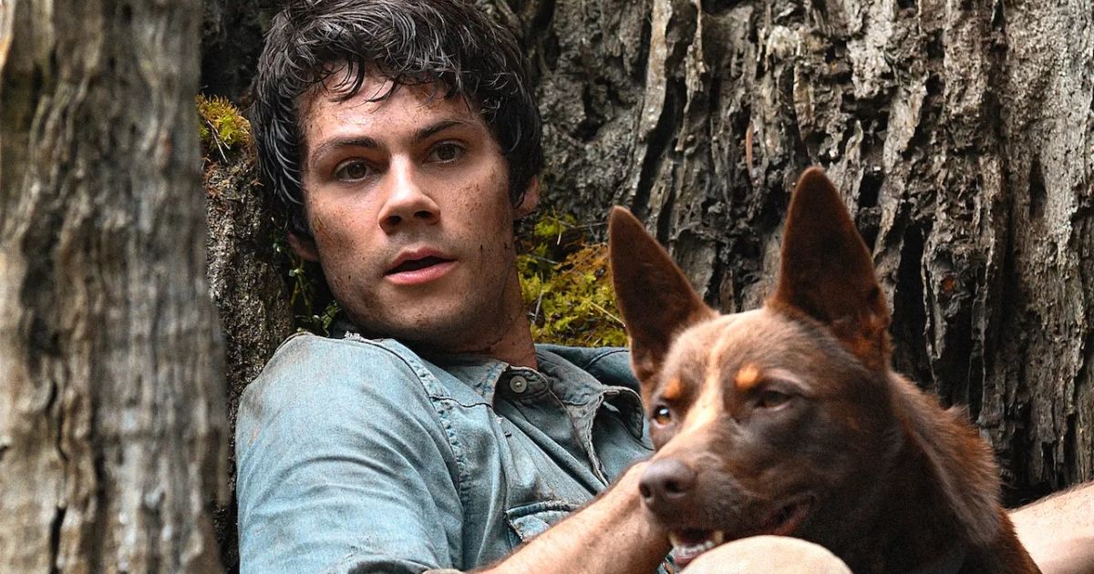 Best Dylan O'Brien Movies, Ranked