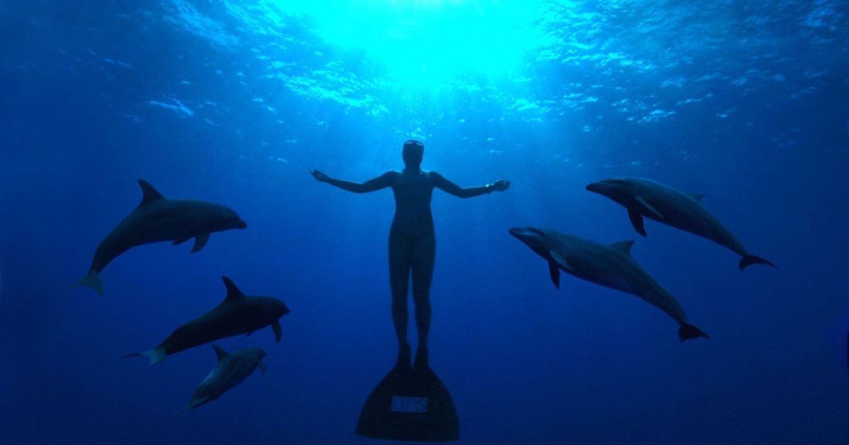 Dolphins and a diver in The Cove.