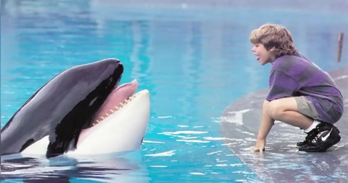 A scene from Free Willy
