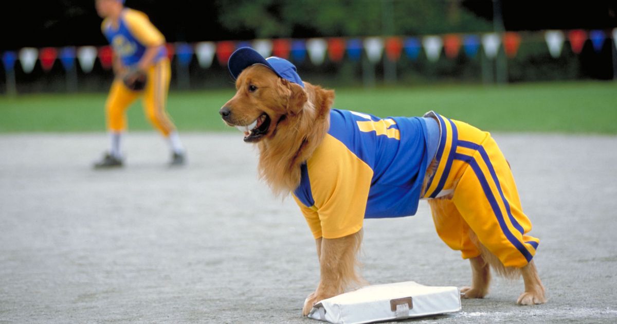 Air Bud Seventh Inning Fetch with baseball