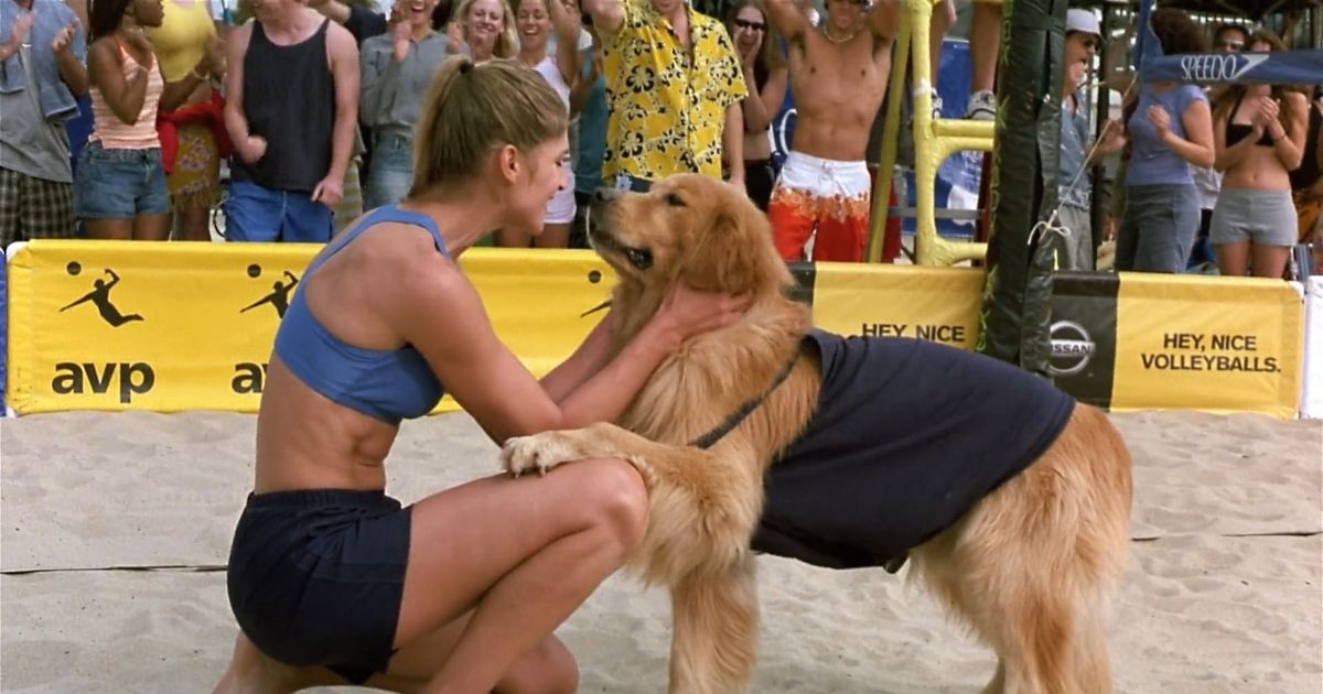 Air Bud Spikes Back with volleyball