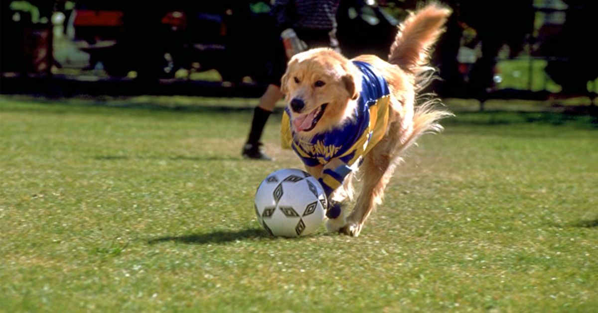 Air Bud World Pup with soccer
