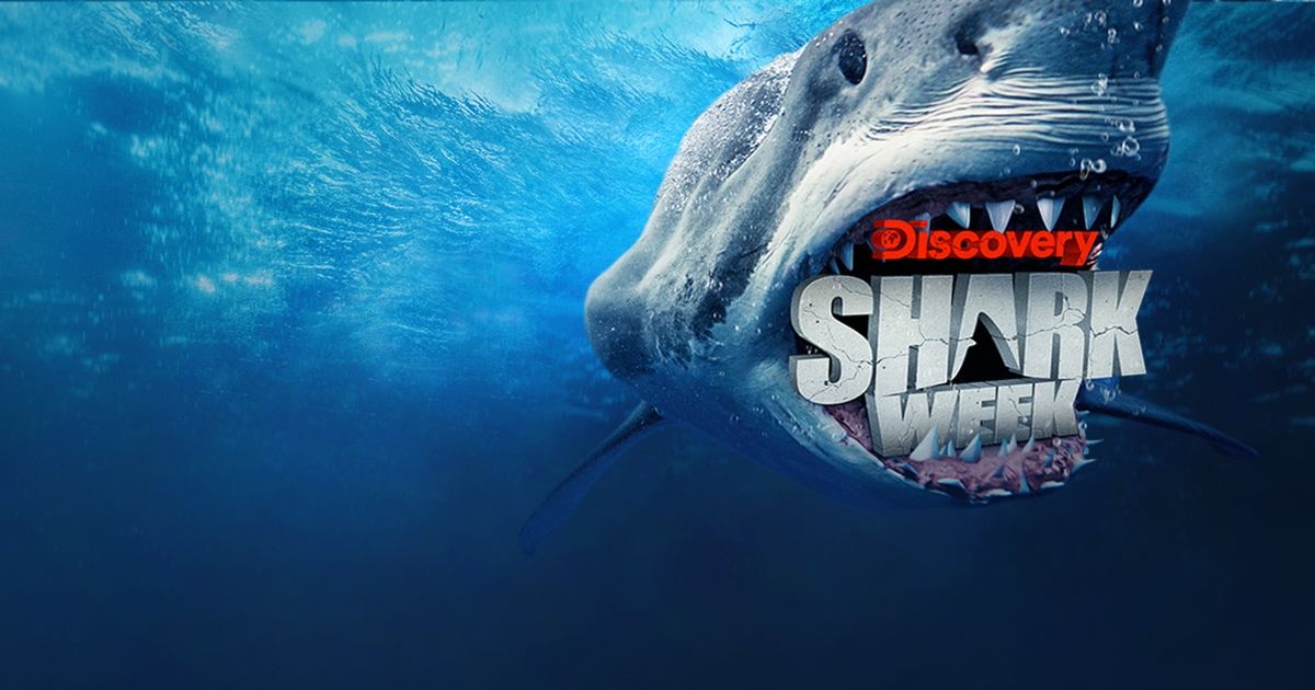 Shark Week 2017 TV Lineup - SI Parent