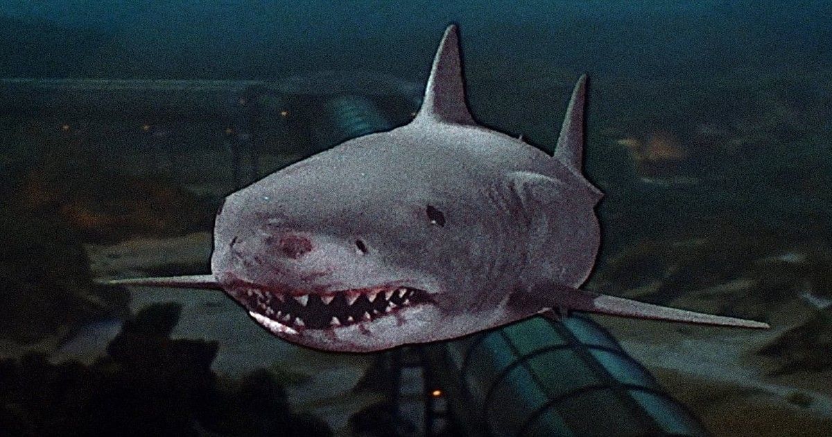 The shark in Jaws 3D