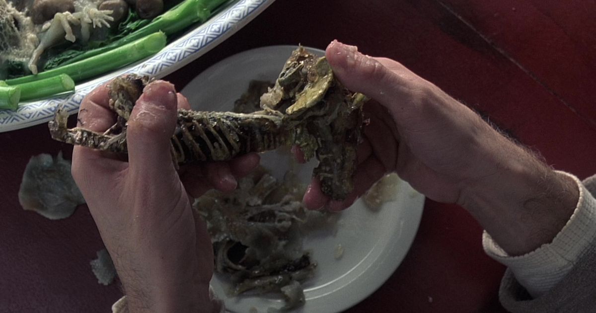 Le pistolet à os grossier dans eXistenZ