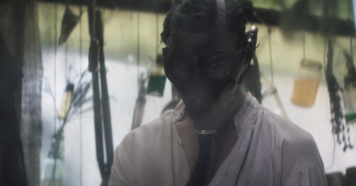The Stranger in a Gas Mask in the Glasshouse