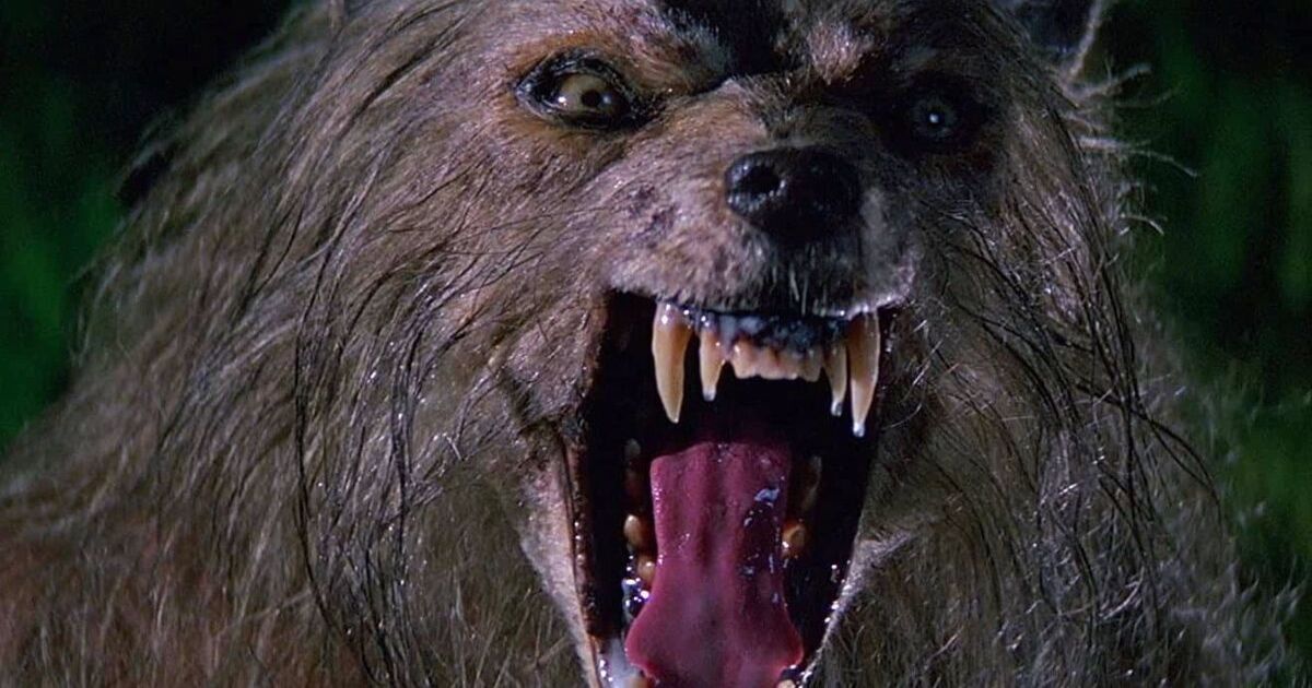 The werewolf in Bad Moon.