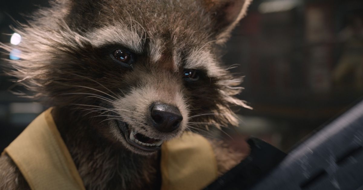 Rocket Raccoon in Guardians of the Galaxy