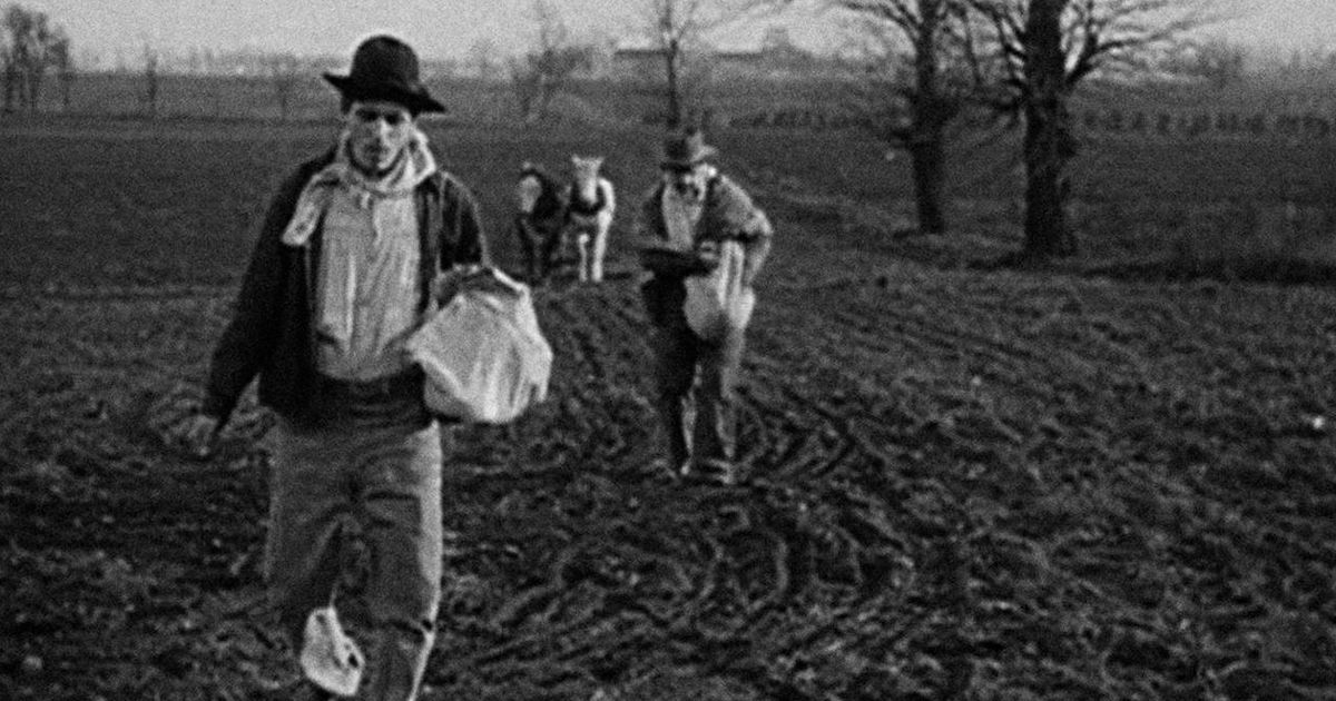 the 1909 silent film A Corner in Wheat