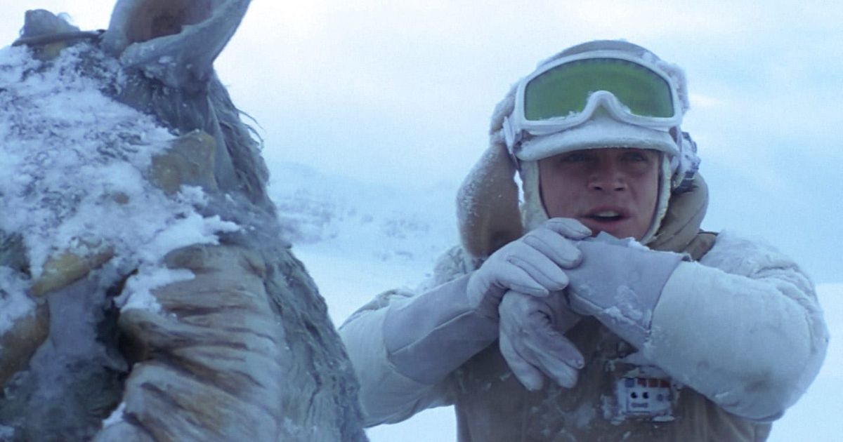 Tauntaun survival scene with Luke in The Empire Strikes Back