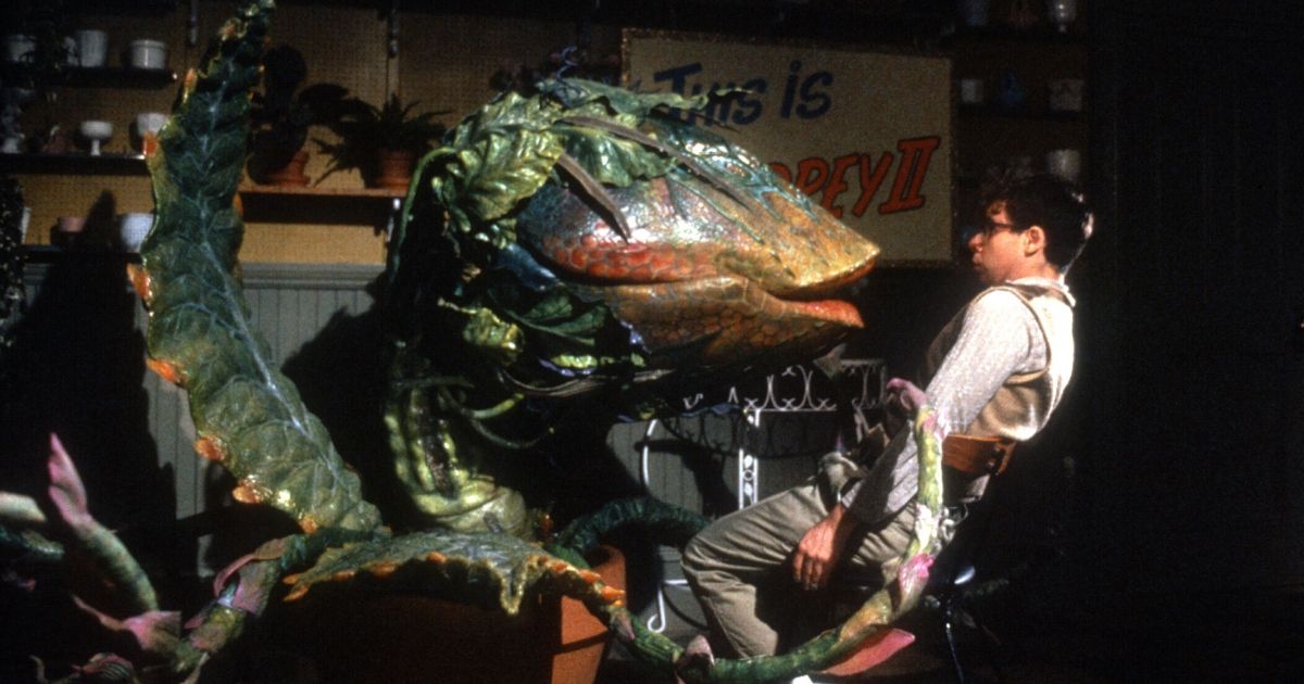 Audrey II and Seymour in Little Shop of Horrors
