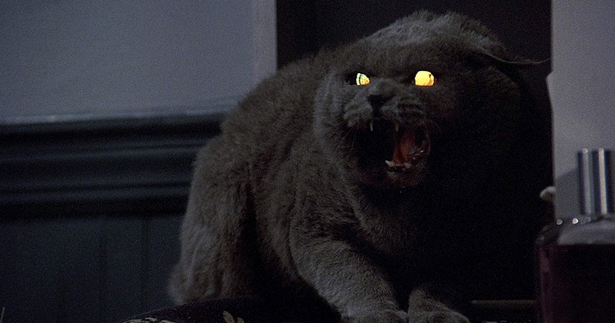 The Best Horror Movies About Animals, Ranked