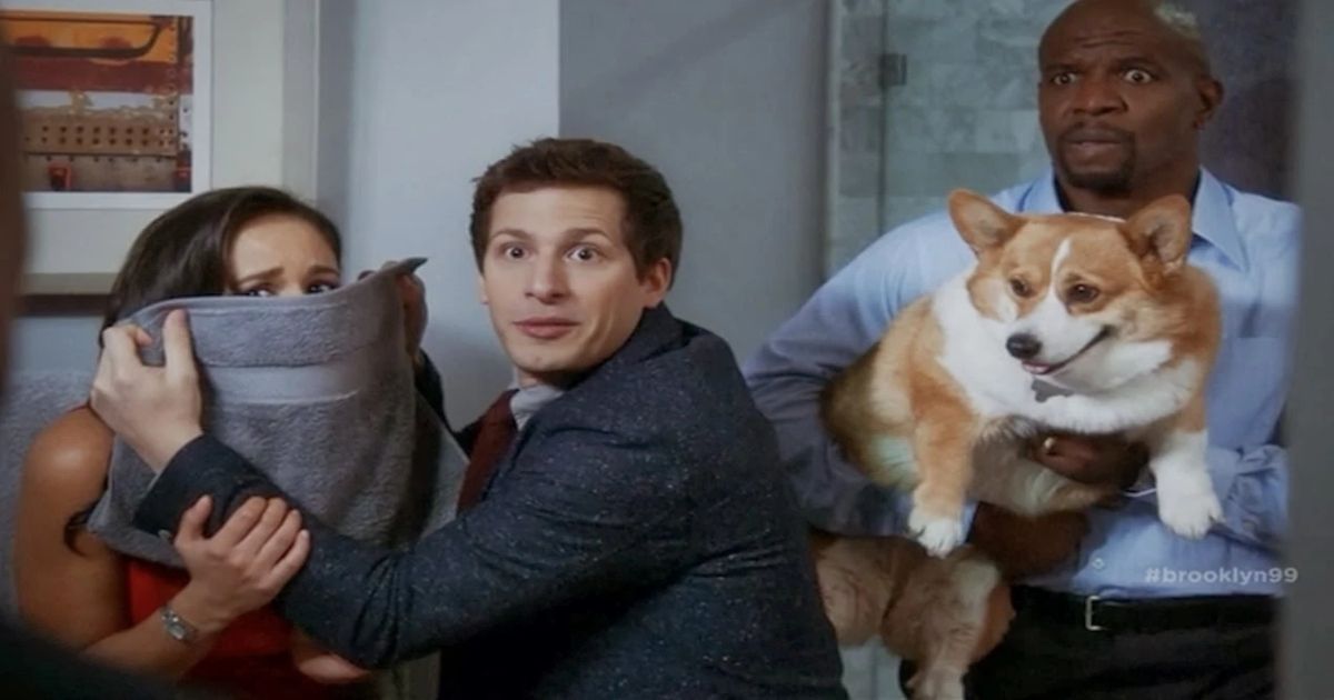 Telecharger Brooklyn Nine Nine S 4 Ep 21 Vostfr movieweb.com