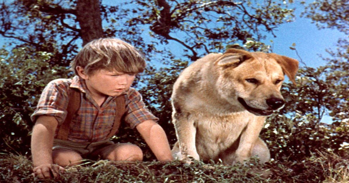 A scene from Old Yeller