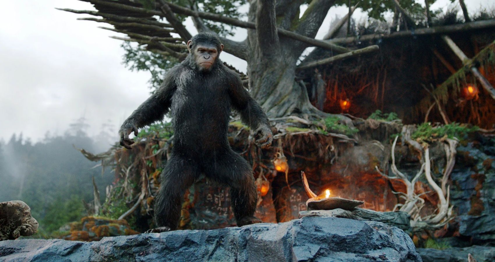 Caesar in the House of the Apes in Dawn of the Planet of the Apes
