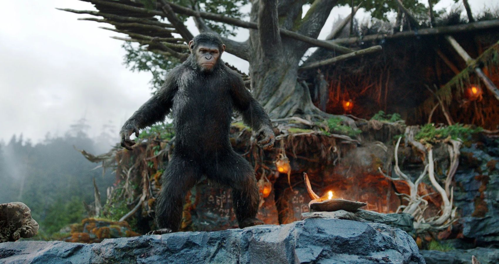 Caesar in the Ape Home in Dawn of the Planet of the Apes