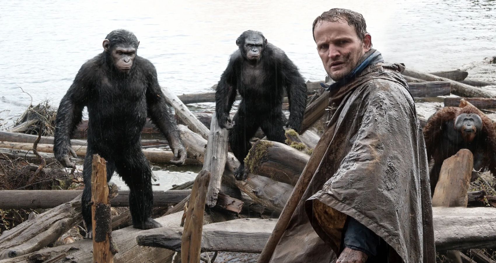 Caesar, Koba and Malcolm in Dawn of the Planet of the Apes